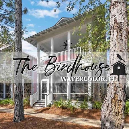 The Birdhouse In Luxury Watercolor Brand New 6 Seat Golf Cart Santa Rosa Beach Exterior foto